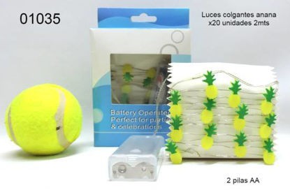 Imagen de LUCES COLGANTES ANANA X20 2MTS 10.24